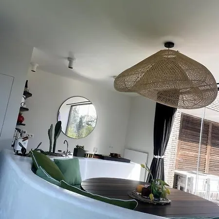 Duinenhuisje, Poolhouse Met Prive Zwembad En Buitendouche
