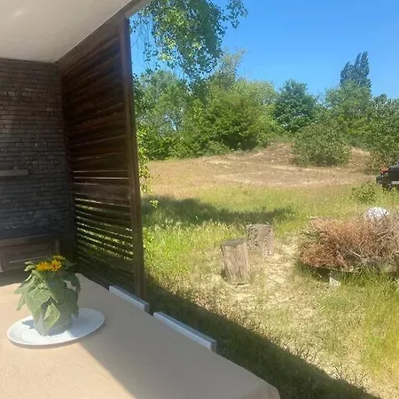 Hébergement de vacances Duinenhuisje, Poolhouse Met Prive Zwembad En Buitendouche *
