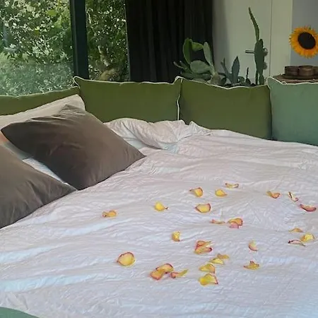 Duinenhuisje, Poolhouse Met Prive Zwembad En Buitendouche *