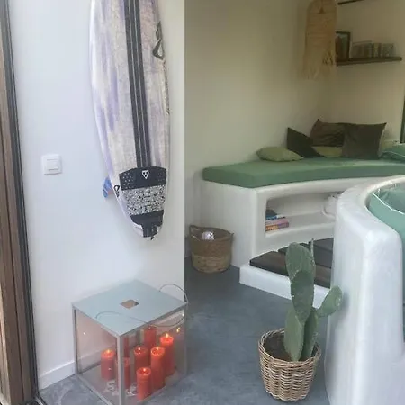 Duinenhuisje, Poolhouse Met Prive Zwembad En Buitendouche Hébergement de vacances