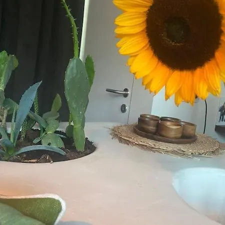 Hébergement de vacances Duinenhuisje, Poolhouse Met Prive Zwembad En Buitendouche *