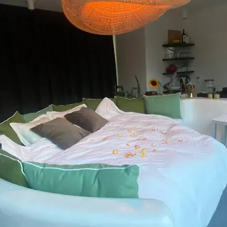 Duinenhuisje, Poolhouse Met Prive Zwembad En Buitendouche Hébergement de vacances Coxyde